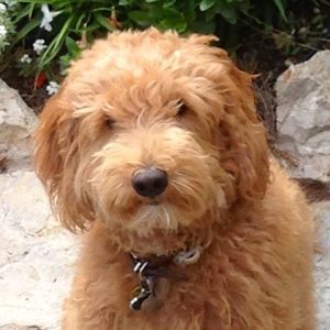 Meet your Posher, Kathi